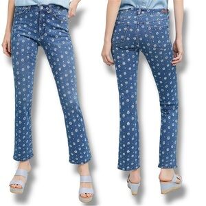 Pilcro by Anthropologie Floral Embroidered 
Jeans Size 6